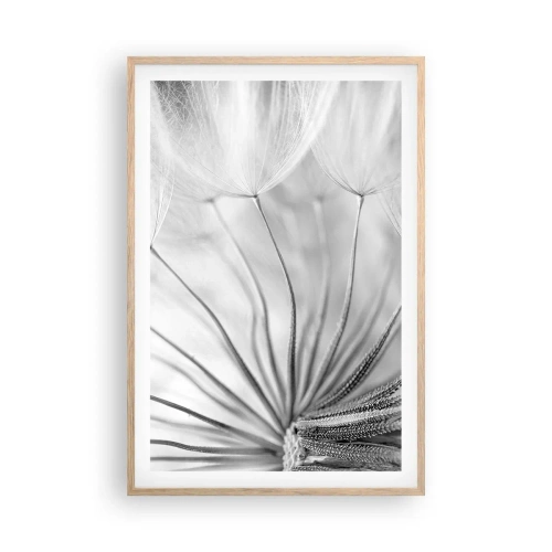 Poster in einem Rahmen aus heller Eiche - Löwenzahn, Drachen - 61x91 cm