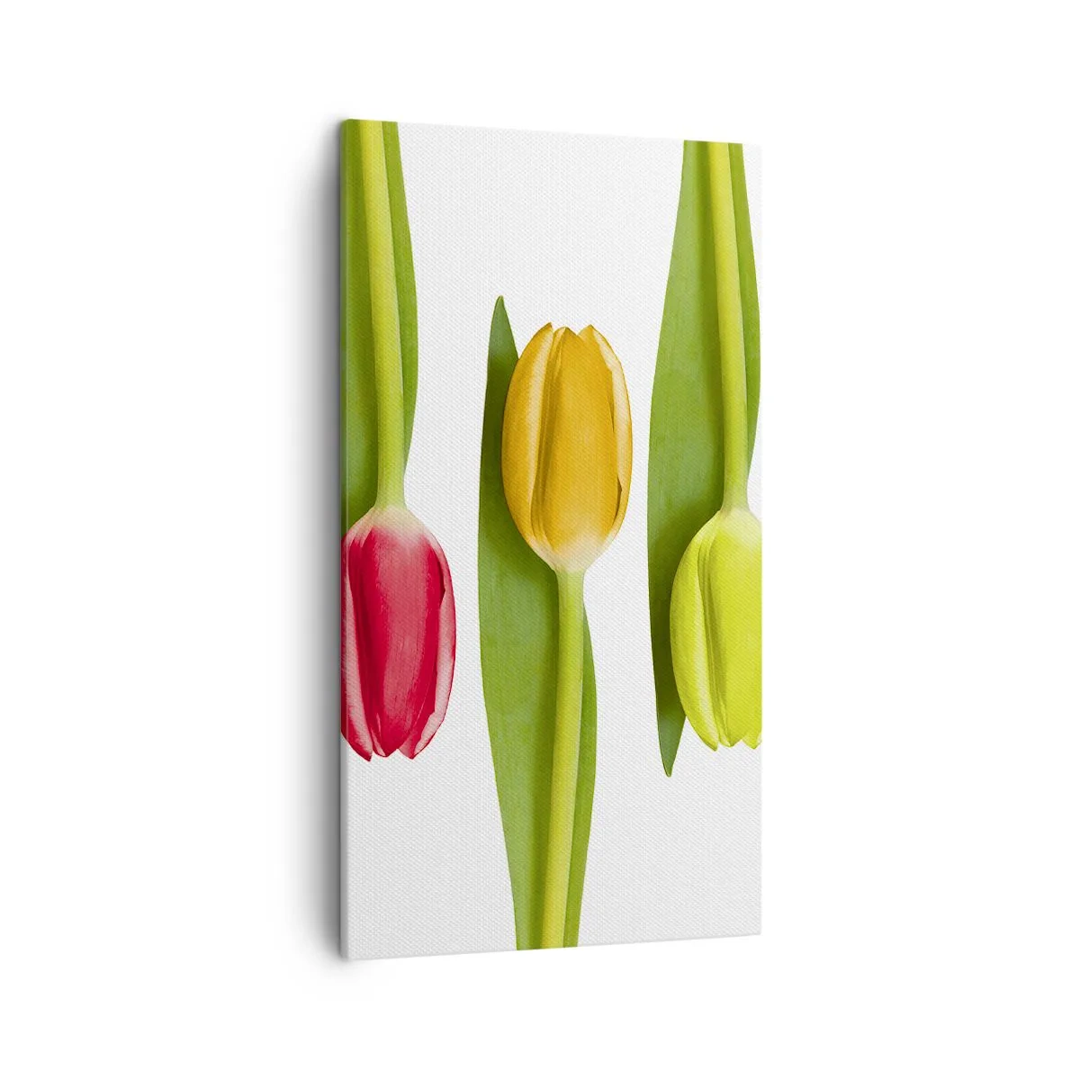 Bild auf Leinwand - Leinwandbild - Regenbogenkomposition - 45x80 cm