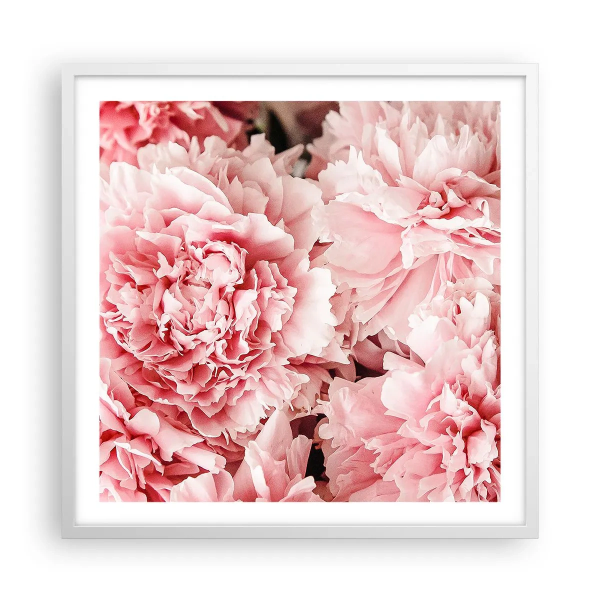 Poster in einem weißen Rahmen - Rosa Traum - 60x60 cm