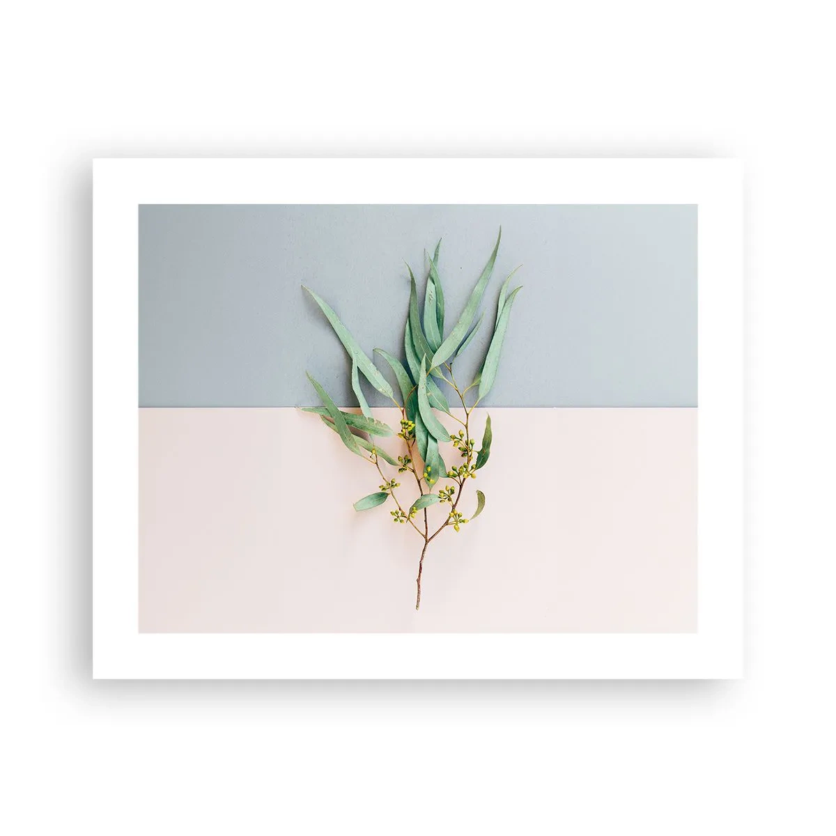 Poster - Pastellige Subtilität - 50x40 cm