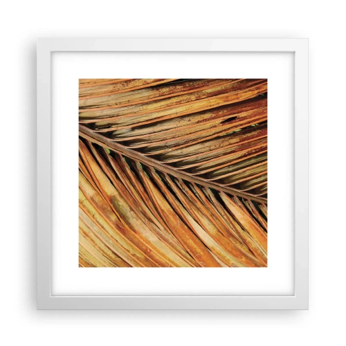 Poster in einem weißen Rahmen - Kokosnuss-Gold - 30x30 cm