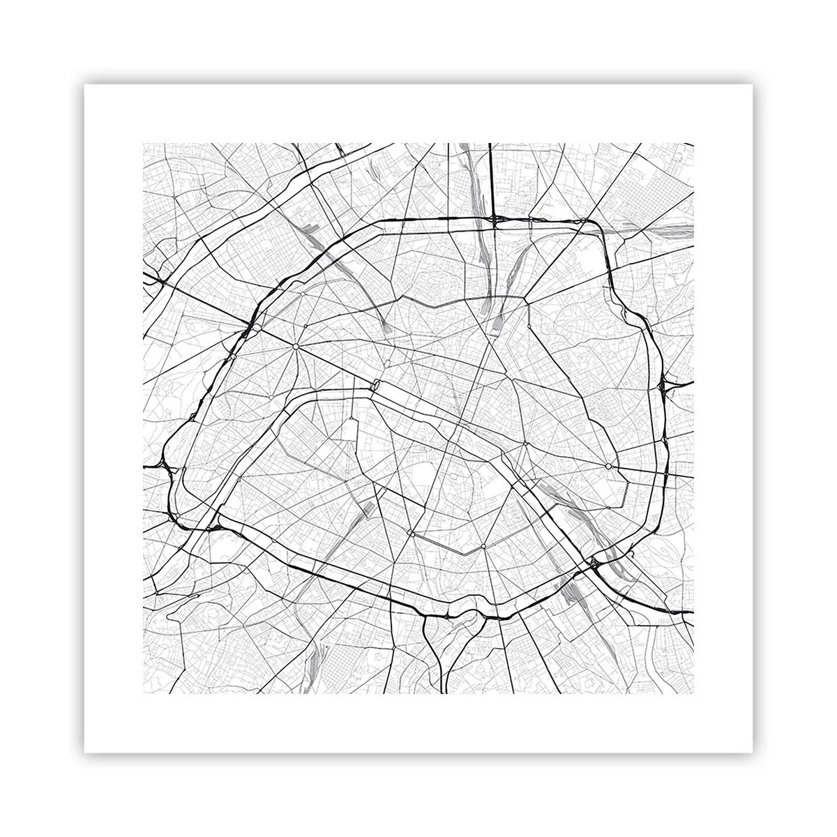 Poster - Pariser Blume - 40x40 cm