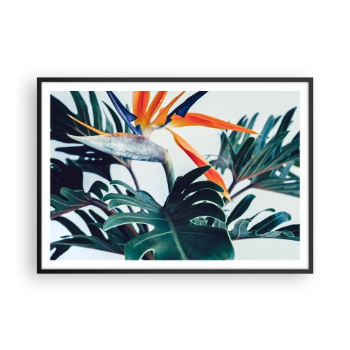 Poster in einem schwarzem Rahmen - Strelitzia-Blüte, umgeben von Blättern in hellem Licht - 100x70cm - Vogelbusch - Moderne Wanddekoration für Wohnzimmer und Schlafzimmer ARTTOR