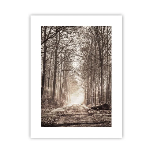 Poster - Waldkathedrale - 30x40 cm