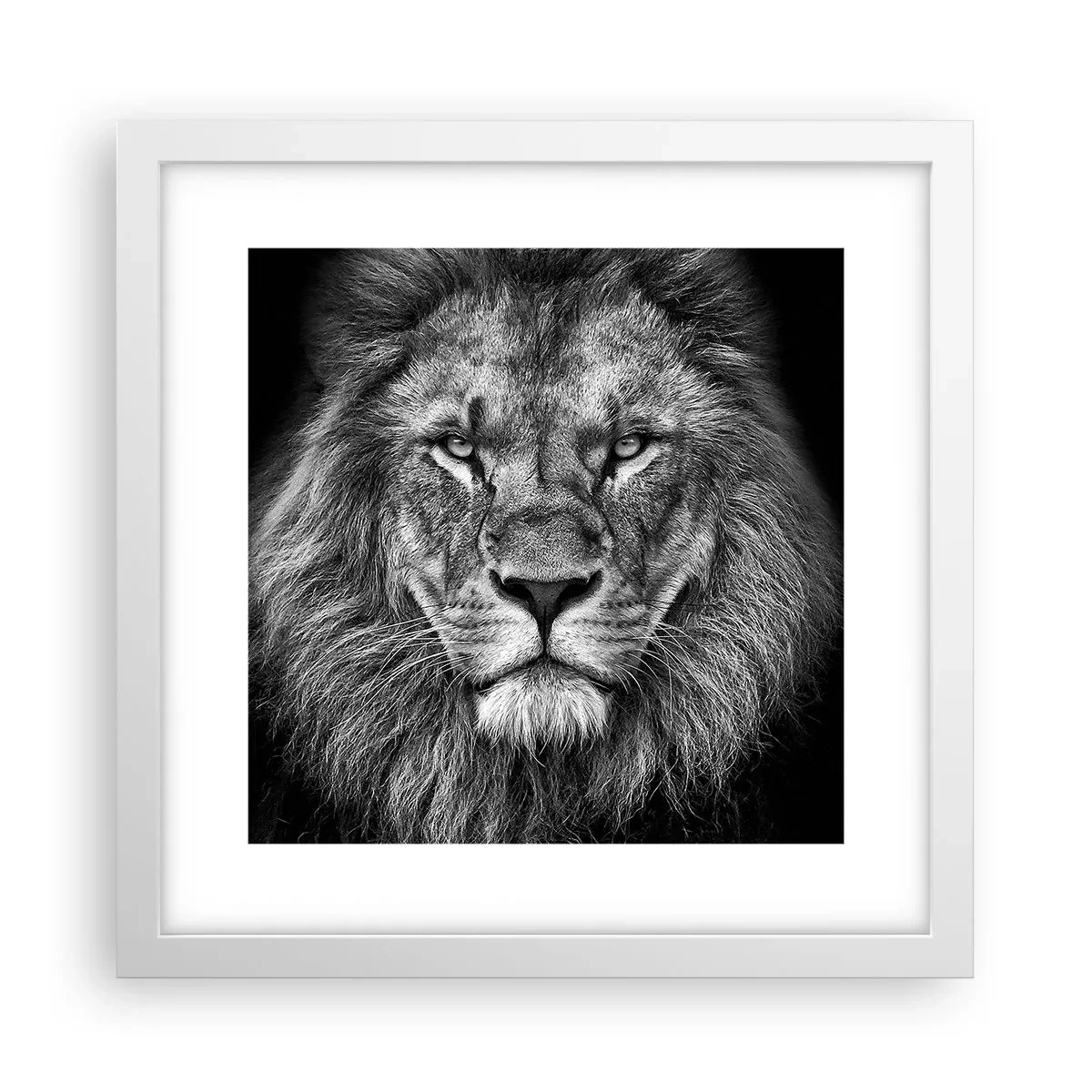 Poster in einem weißen Rahmen - Im Krönungsgewand - 30x30 cm