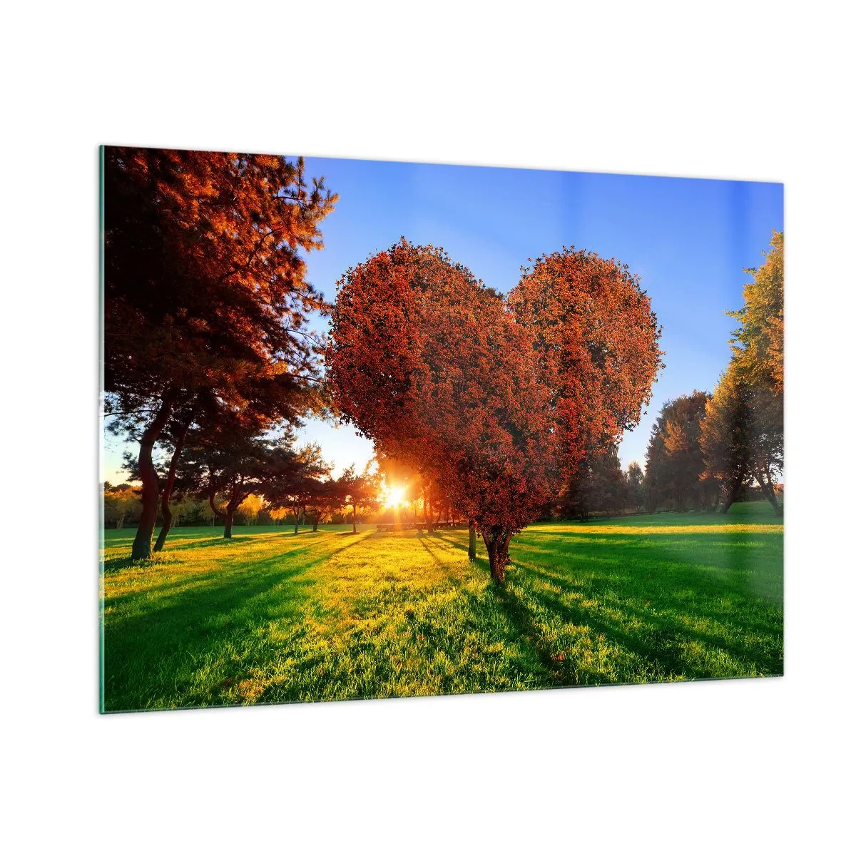 Glasbild - Bild auf glas - Ein herzförmiger Baum vor dem Hintergrund der untergehenden Sonne - 100x70cm - Und wie man den Herbst nicht liebt - Moderne Wanddekoration für Wohnzimmer und Schlafzimmer ARTTOR