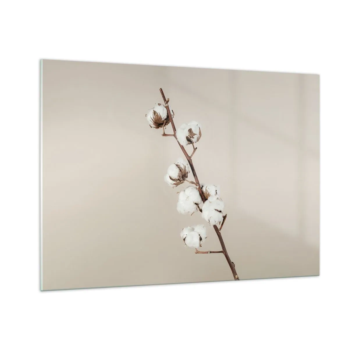 Glasbild - Bild auf glas - Ein Baumwollzweig auf hellem, minimalistischem Hintergrund - 100x70cm - An der Quelle der Weichheit - Moderne Wanddekoration für Wohnzimmer und Schlafzimmer ARTTOR