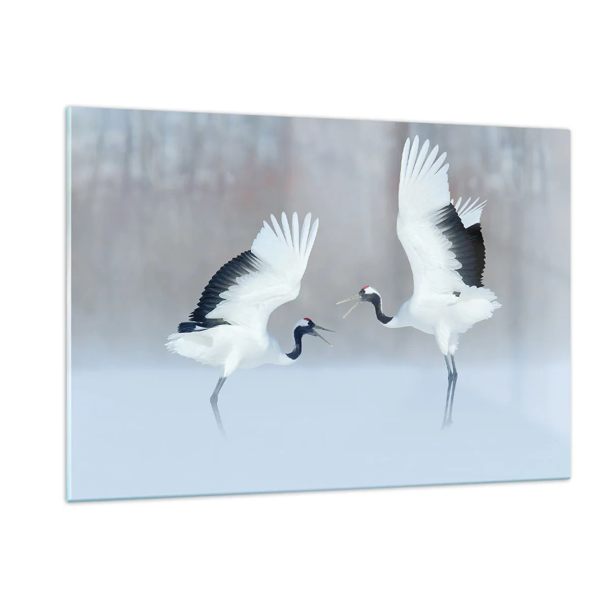 Glasbild - Bild auf glas - Tanzende Kraniche vor der Kulisse einer Winterlandschaft - 120x80cm - Tanz im Nebel - Moderne Wanddekoration für Wohnzimmer und Schlafzimmer ARTTOR