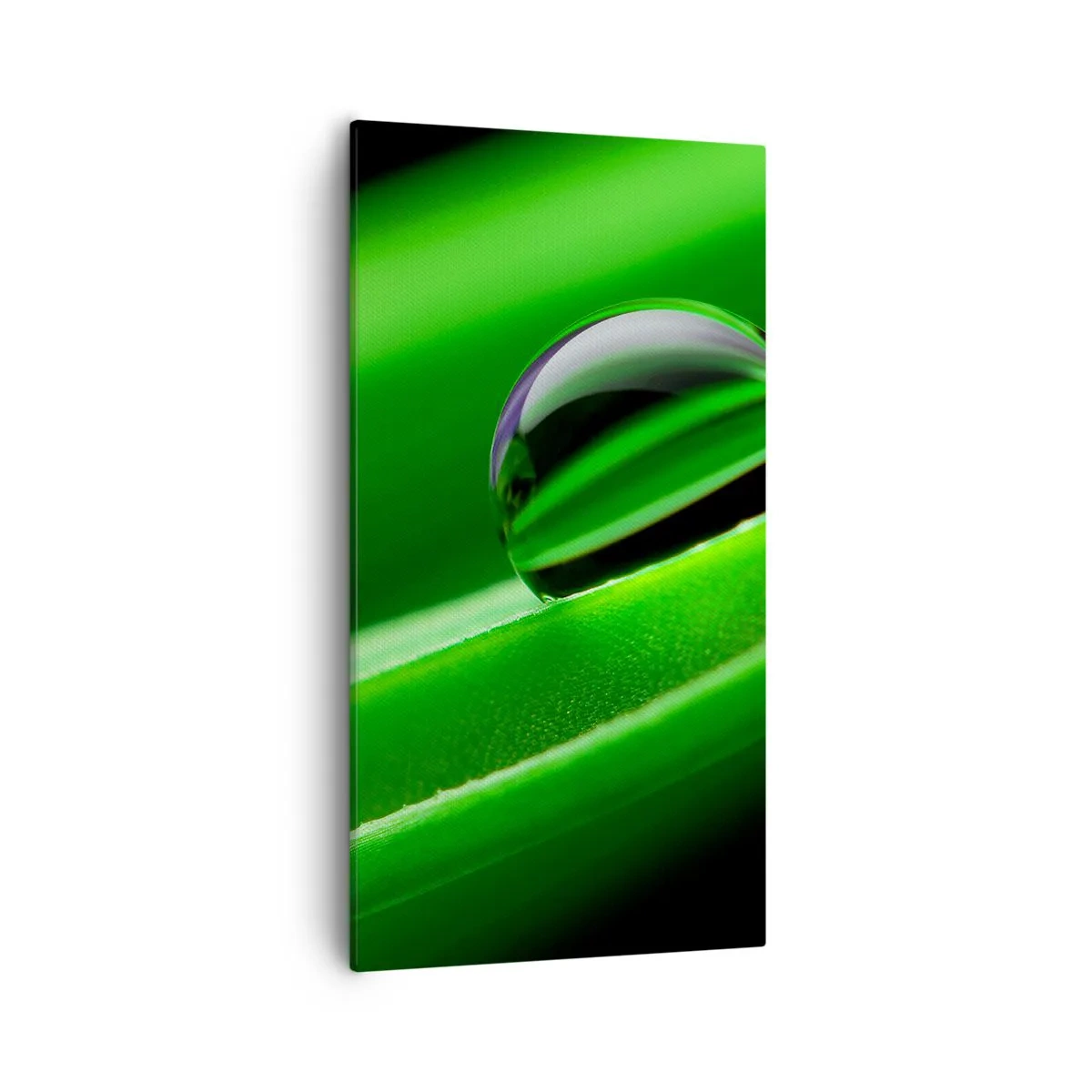 Bild auf Leinwand - Leinwandbild - Leben hautnah - 55x100 cm