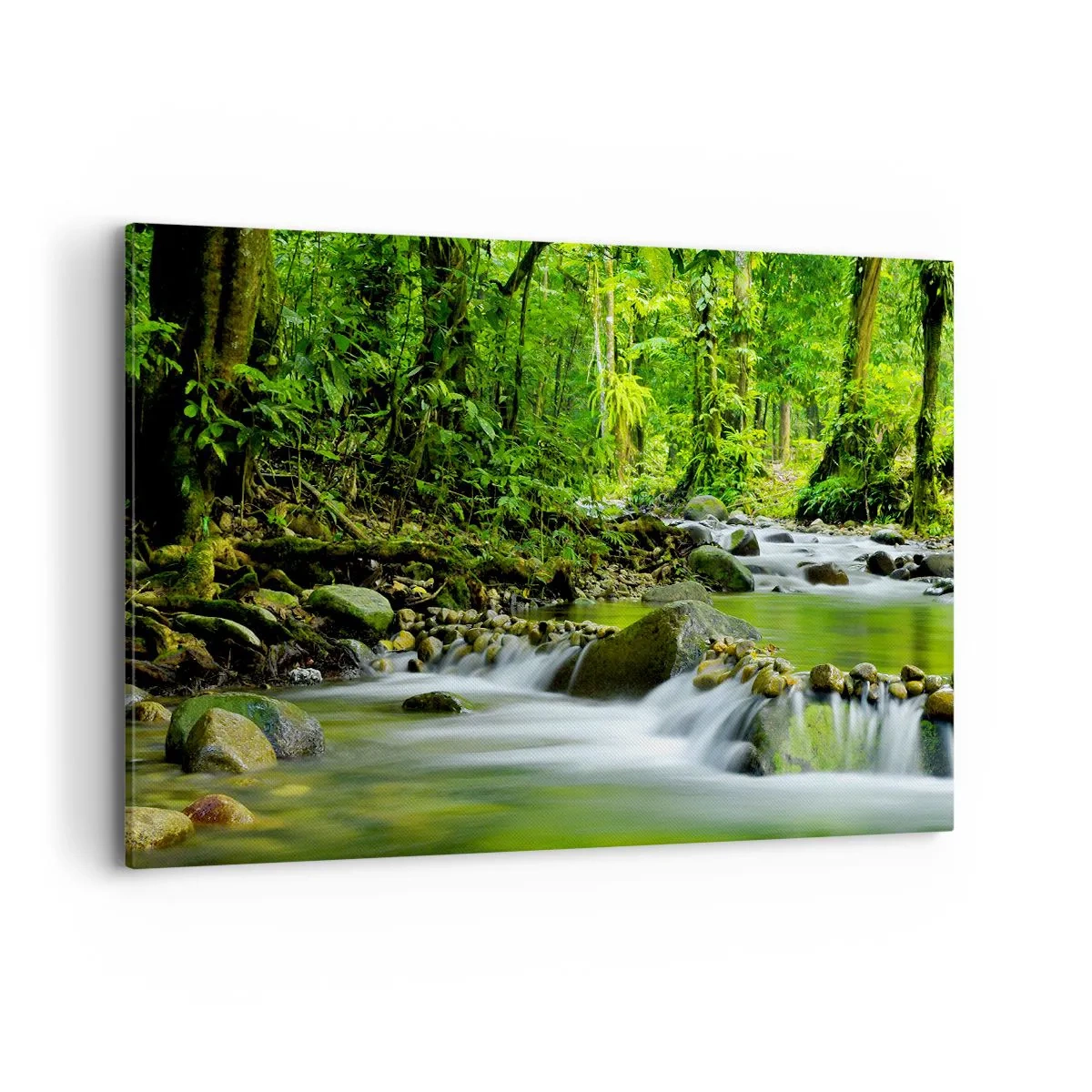 Bild auf Leinwand - Leinwandbild - Ein Bach in einem üppigen tropischen Wald - 120x80cm - Schwimmen Sie in einem Meer aus Grün - Moderne Wanddekoration für Wohnzimmer und Schlafzimmer ARTTOR