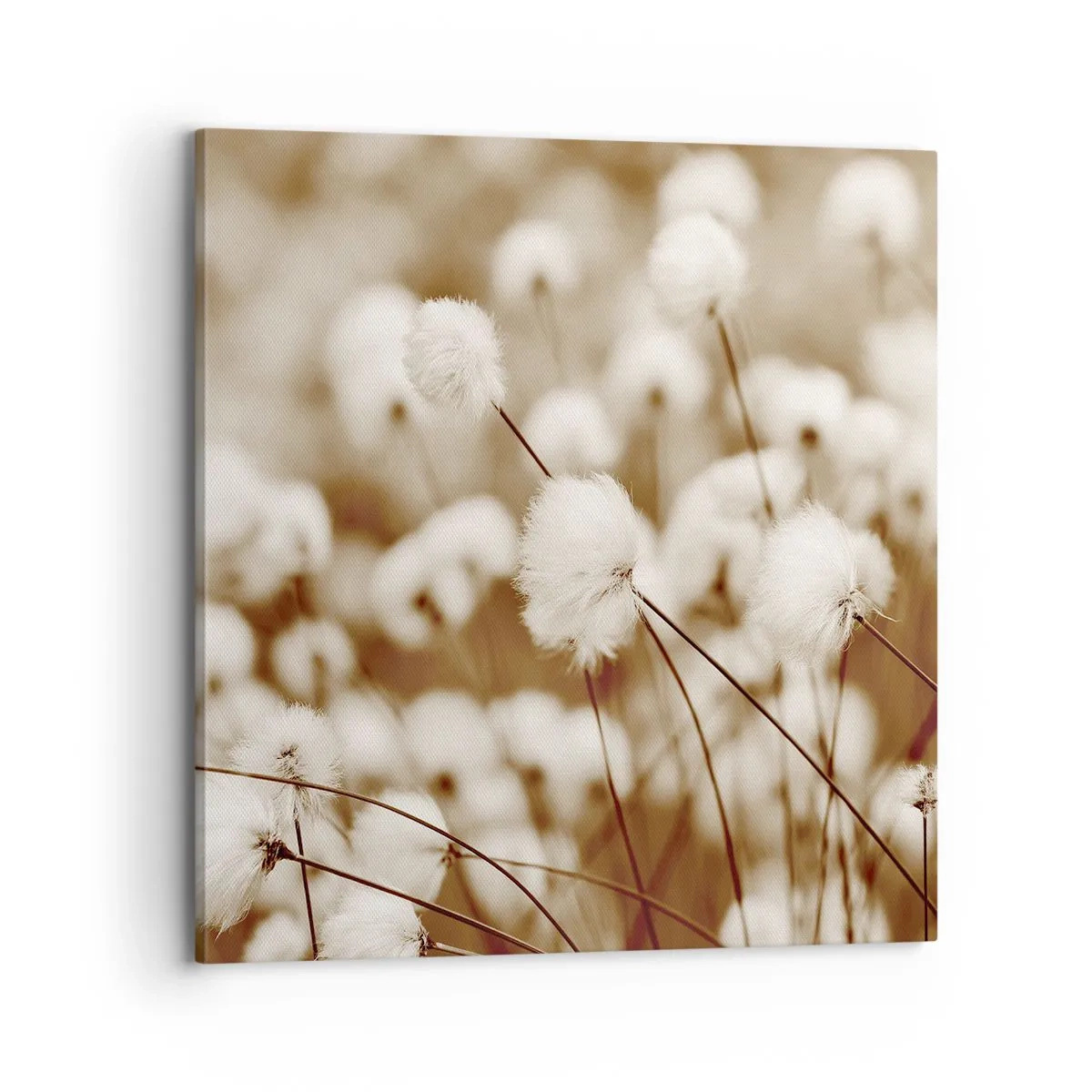 Bild auf Leinwand - Leinwandbild - Flauschiges Kornfeld - 70x70 cm