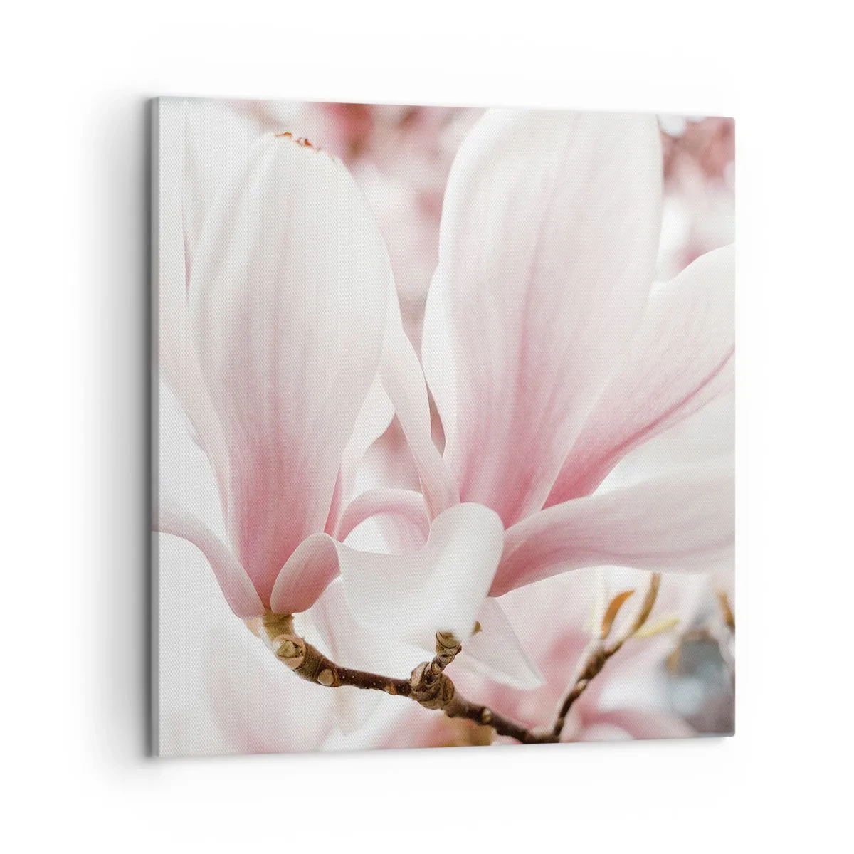 Bild auf Leinwand - Leinwandbild - Eine Fülle von Zärtlichkeit - 50x50 cm