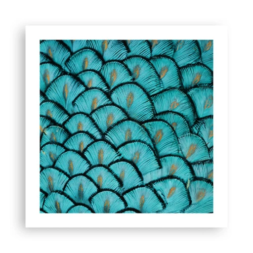 Poster - Große Federgala - 50x50 cm