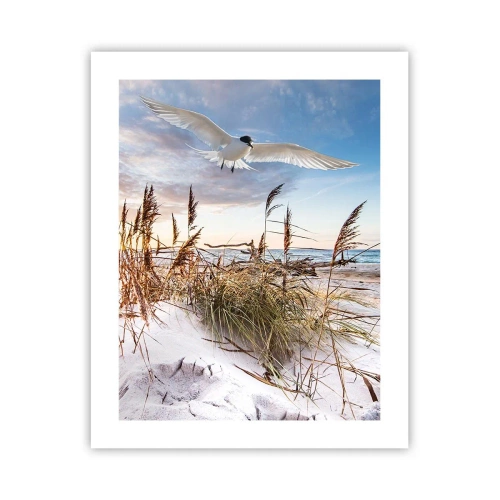 Poster - Wind vom Meer - 40x50 cm
