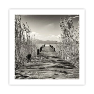 Poster - In der Stille des Grases - 50x50 cm