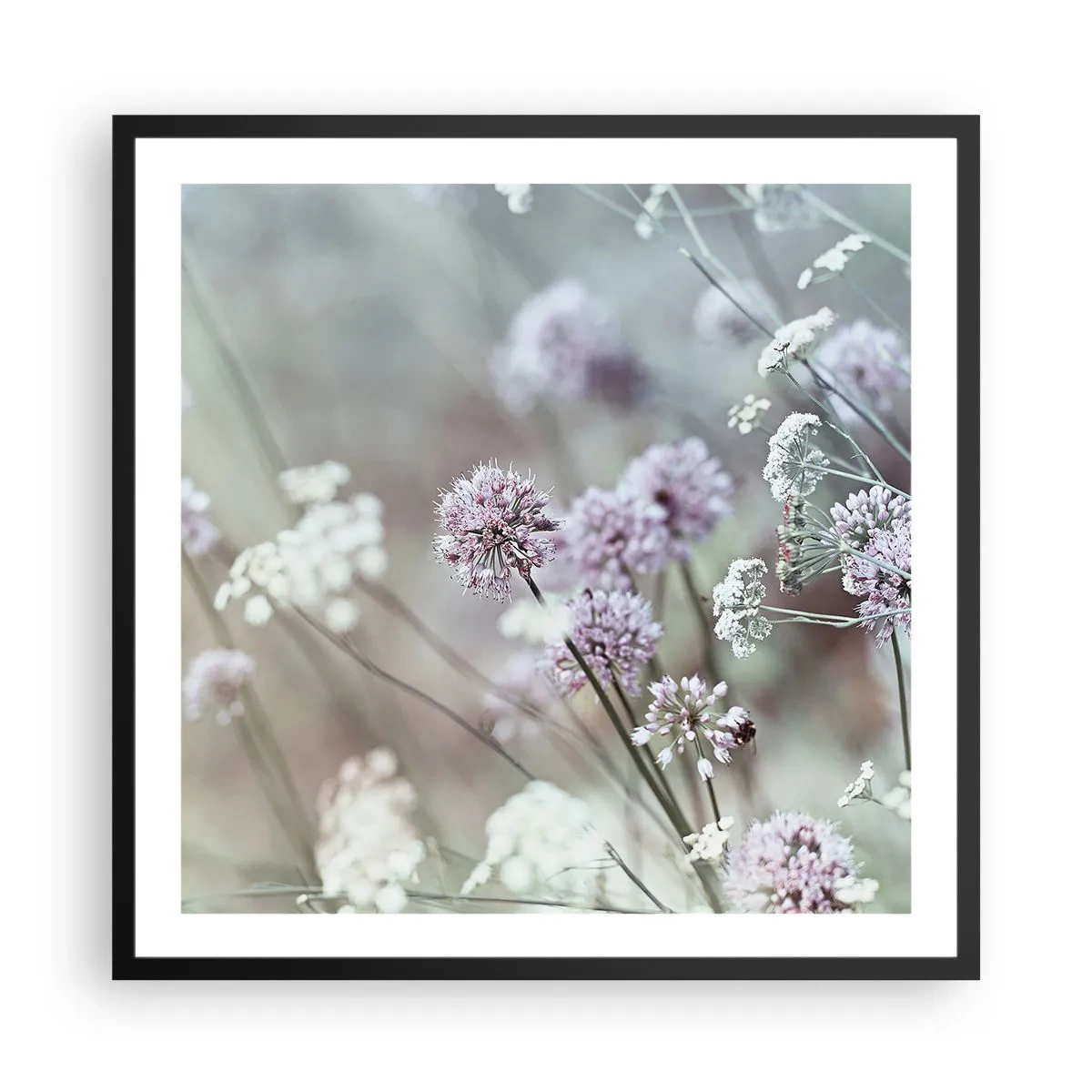 Poster in einem schwarzem Rahmen - Süße filigrane Kräuter - 60x60 cm