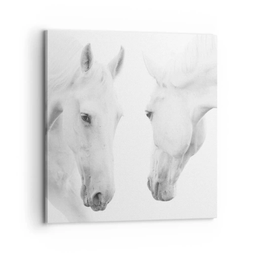 Bild auf Leinwand - Leinwandbild - Ist das Freundschaft...? - 70x70 cm