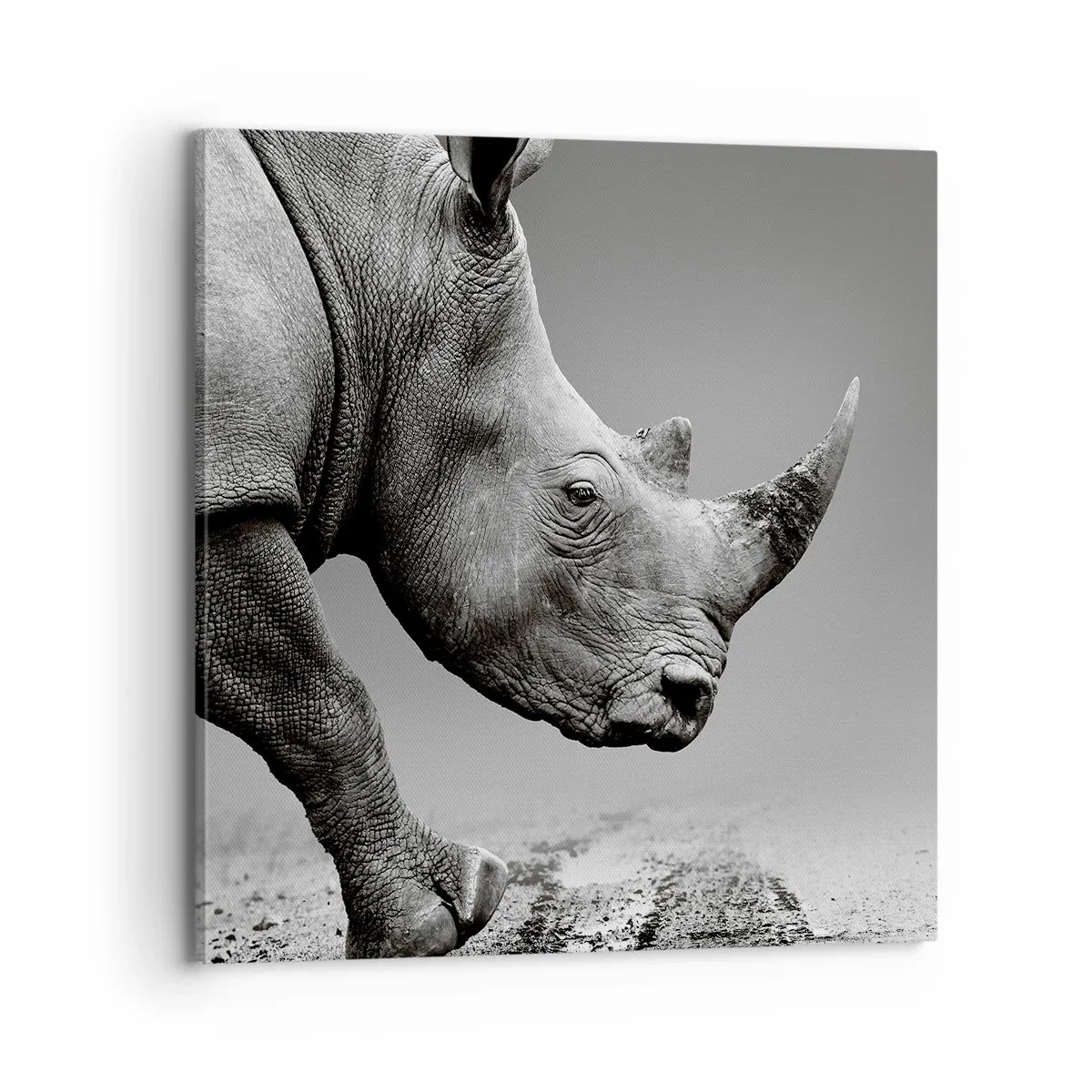 Bild auf Leinwand - Leinwandbild - Unaufhaltsame Stärke - 70x70 cm