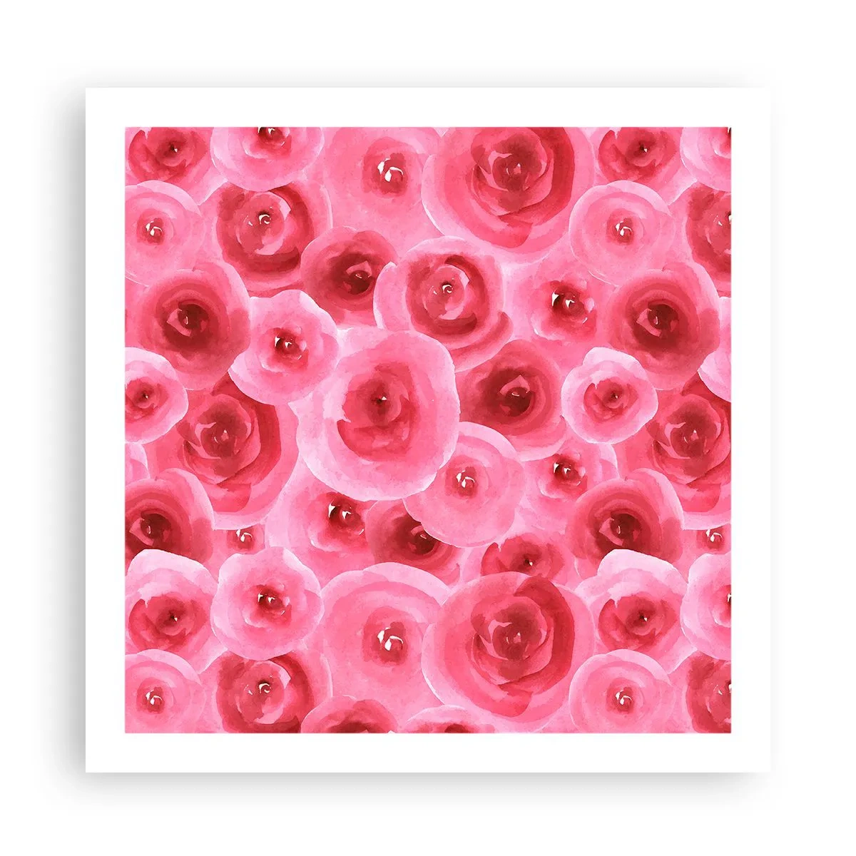 Poster - Oben und unten Rosen - 60x60 cm