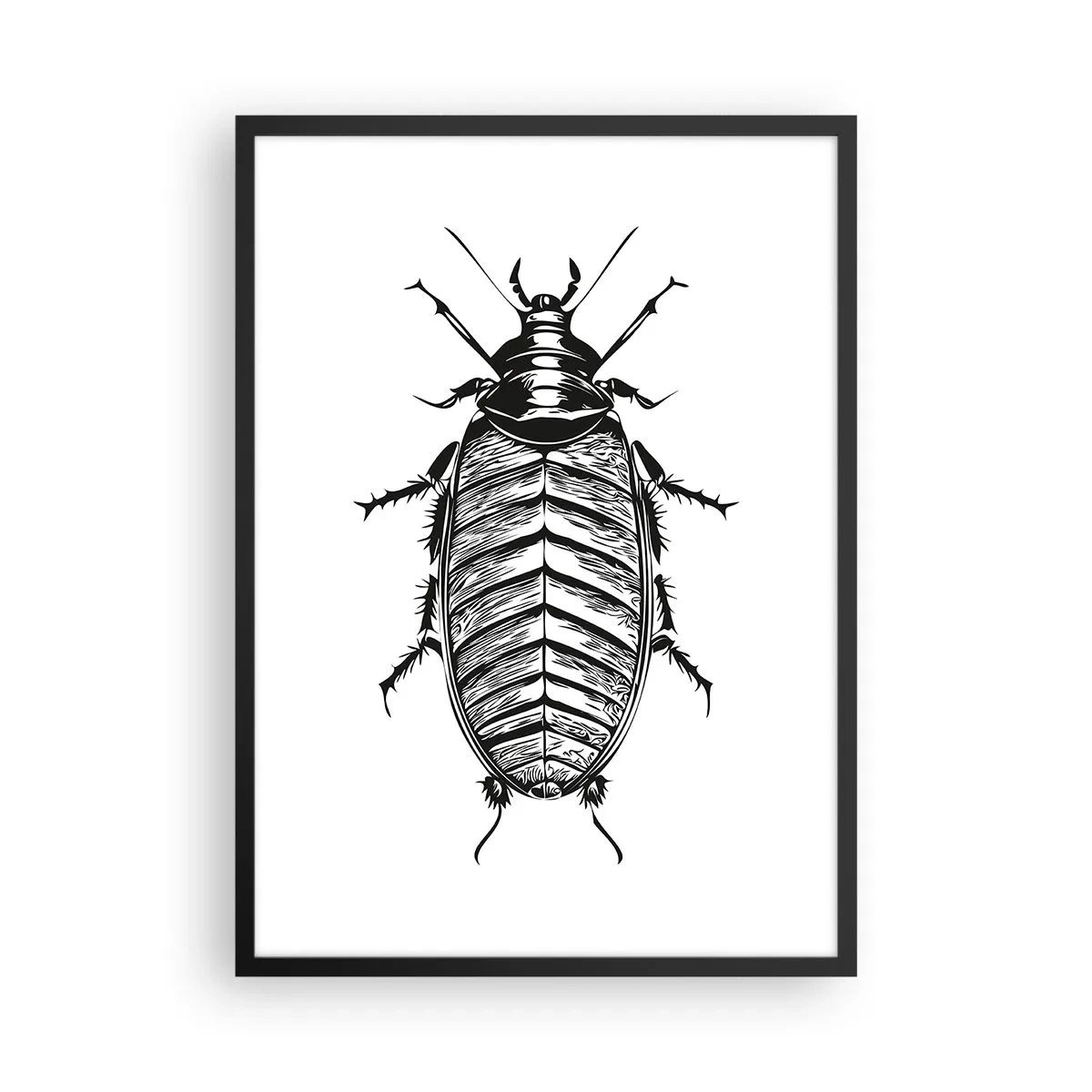 Poster in einem schwarzem Rahmen - Schwarz-Weiß-Illustration eines Insekts im Einzelhandelsstil - 50x70cm - Was für ein Exemplar! - Moderne Wanddekoration für Wohnzimmer und Schlafzimmer ARTTOR