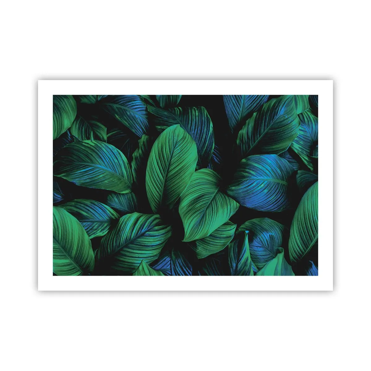 Poster - In der grünen Menge - 70x50 cm