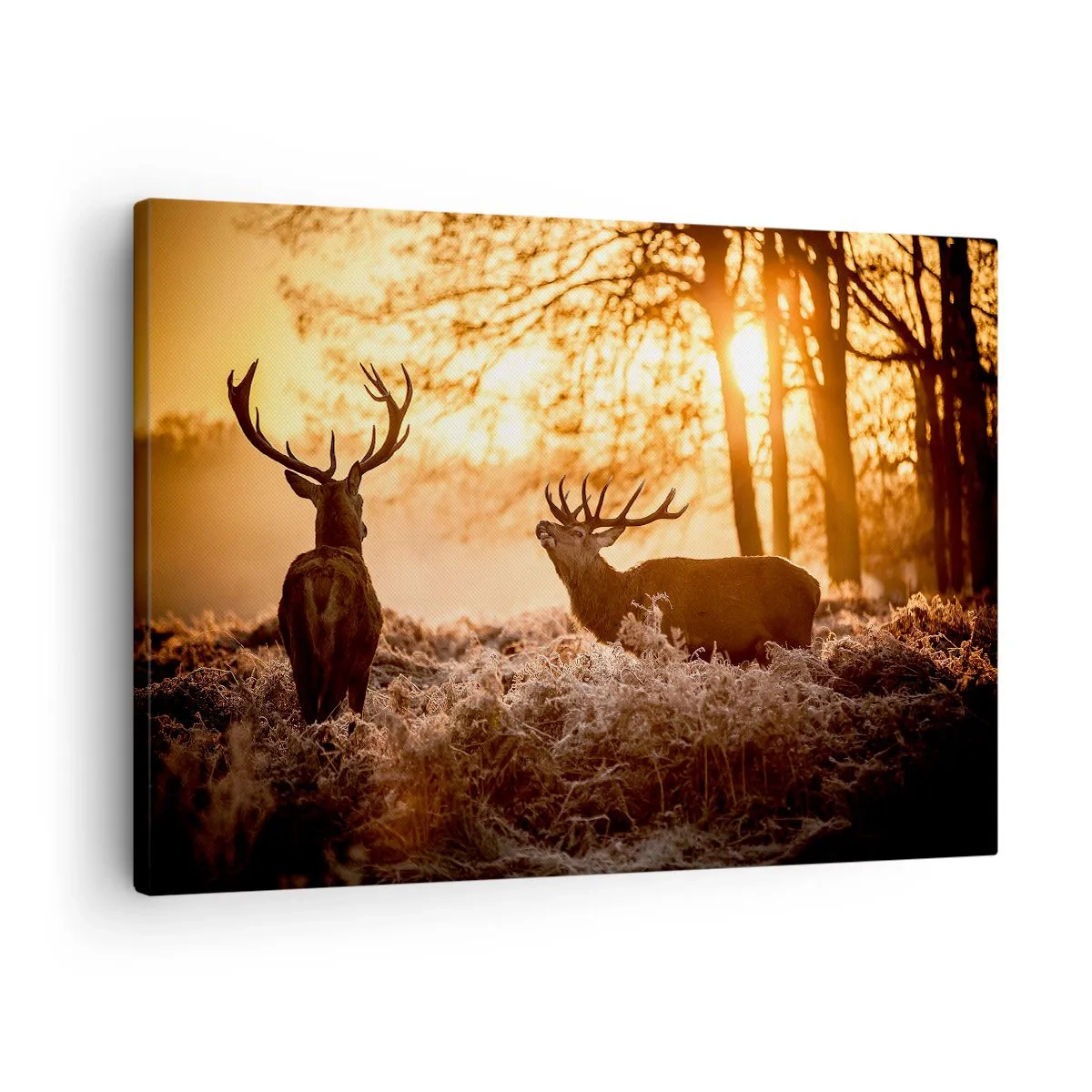 Bild auf Leinwand - Leinwandbild - Zwei Hirsche bei Sonnenuntergang in einer Winterlandschaft - 70x50cm - Der Traum eines Jägers - Moderne Wanddekoration für Wohnzimmer und Schlafzimmer ARTTOR