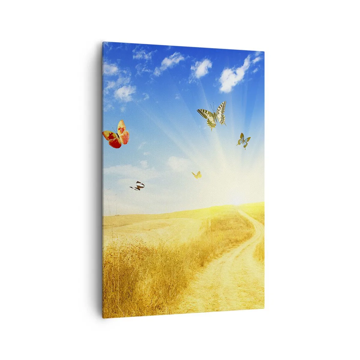 Bild auf Leinwand - Leinwandbild - Ein goldenes Feld, ein Pfad und Schmetterlinge vor einem blauen Himmel - 80x120cm - Und wie kann man den Sommer nicht lieben? - Moderne Wanddekoration für Wohnzimmer und Schlafzimmer ARTTOR