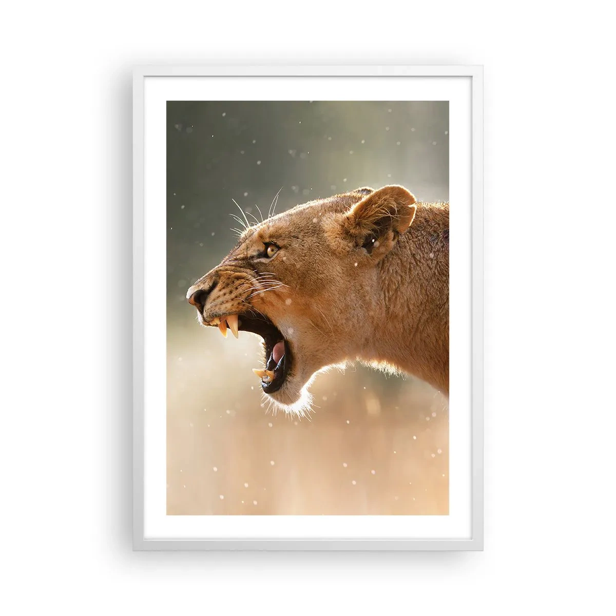 Poster in einem weißen Rahmen - Versuch, nicht zuzuhören - 50x70 cm