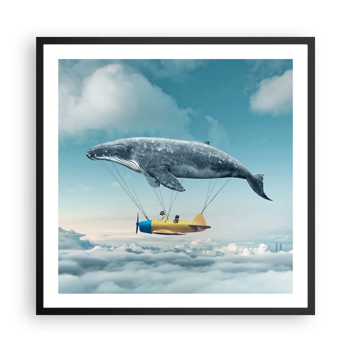 Poster in einem schwarzem Rahmen - Warum nicht? - 60x60 cm