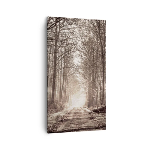 Bild auf Leinwand - Leinwandbild - Waldkathedrale - 45x80 cm