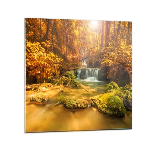 Glasbild - Bild auf glas - Waldkaskade in Gold - 60x60 cm