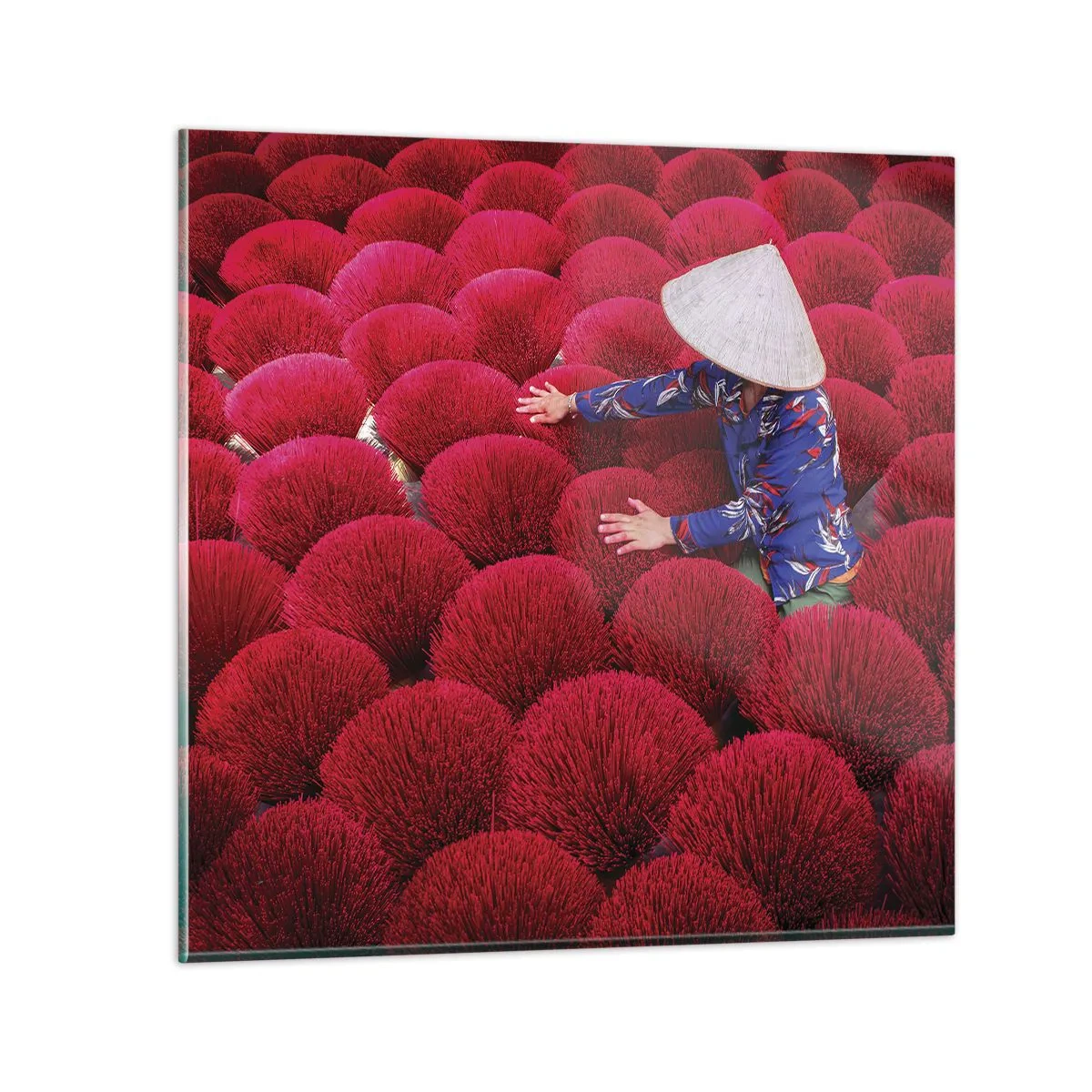 Glasbild - Bild auf glas - Im Reisfeld - 60x60 cm