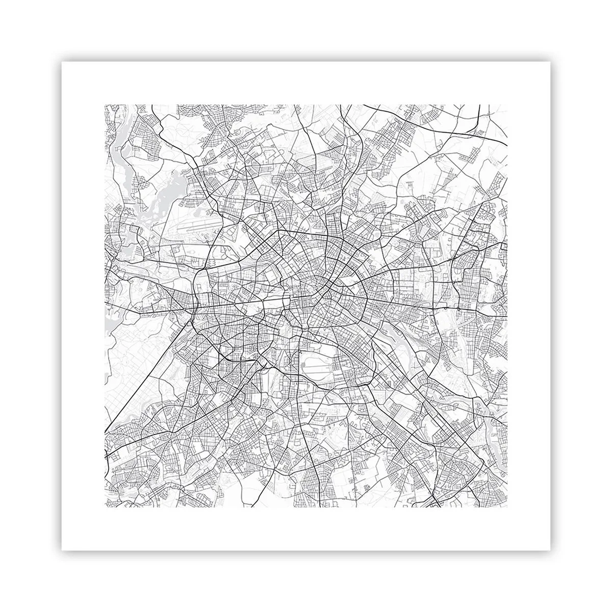 Poster - Berliner Blume - 40x40 cm