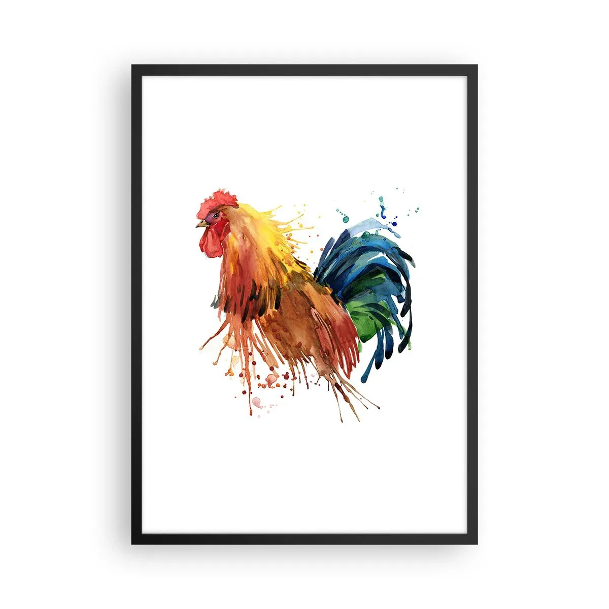 Poster in einem schwarzem Rahmen - Bunter Hahn im Aquarellstil - 50x70cm - Königliches Gewand, königlicher Stolz - Moderne Wanddekoration für Wohnzimmer und Schlafzimmer ARTTOR