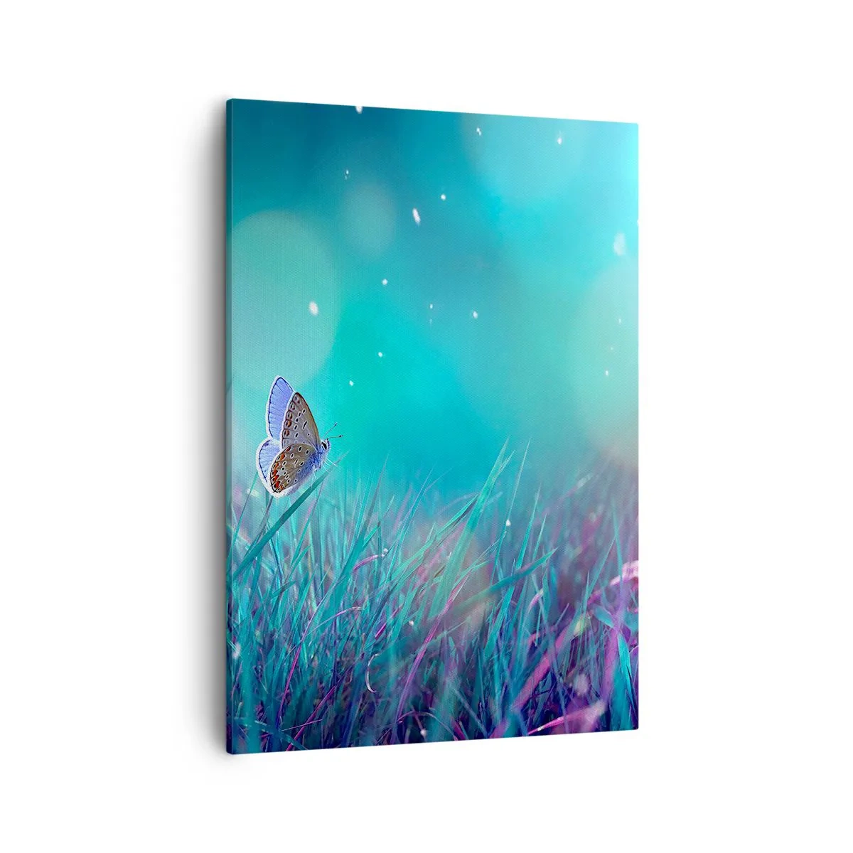 Bild auf Leinwand - Leinwandbild - Ein Schmetterling auf dem Gras im Licht verschwommener Reflexionen - 50x70cm - Das geheime Leben der Wiese - Moderne Wanddekoration für Wohnzimmer und Schlafzimmer ARTTOR