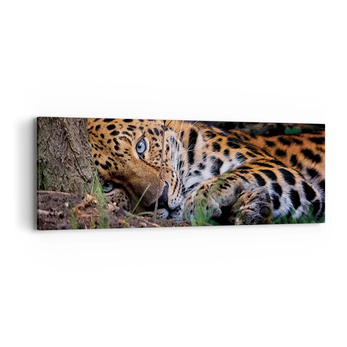 Bild auf Leinwand - Leinwandbild - Vertrau mir - 90x30 cm
