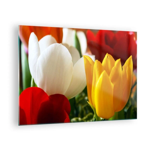 Glasbild - Bild auf glas - Bunte Tulpen Nahaufnahme - 70x50cm - Tulpenfieber - Moderne Wanddekoration für Wohnzimmer und Schlafzimmer ARTTOR