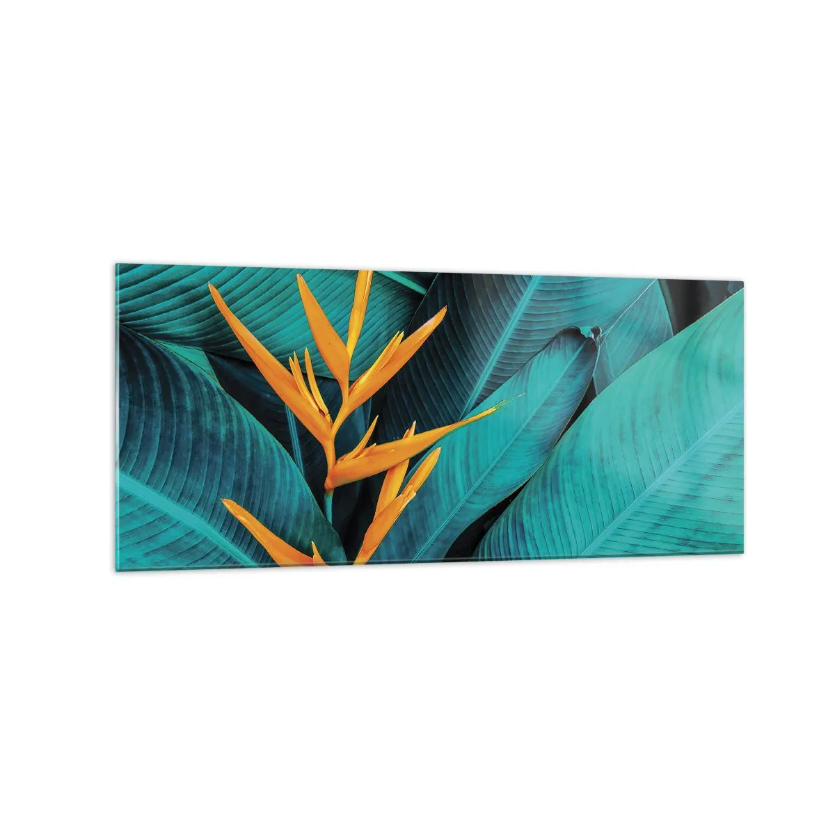 Glasbild - Bild auf glas - Eine exotische Blume vor einem Hintergrund aus Bananenblättern in Türkistönen. - 120x50cm - Eden-Blume - Moderne Wanddekoration für Wohnzimmer und Schlafzimmer ARTTOR