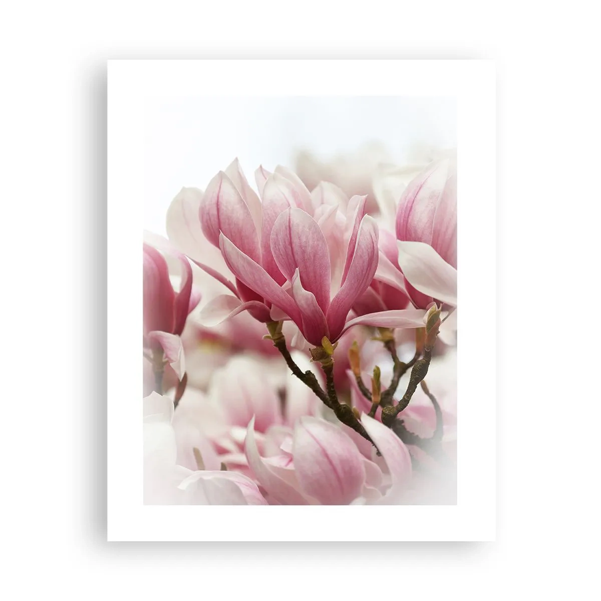 Poster - Frühlingsblumen - 40x50 cm