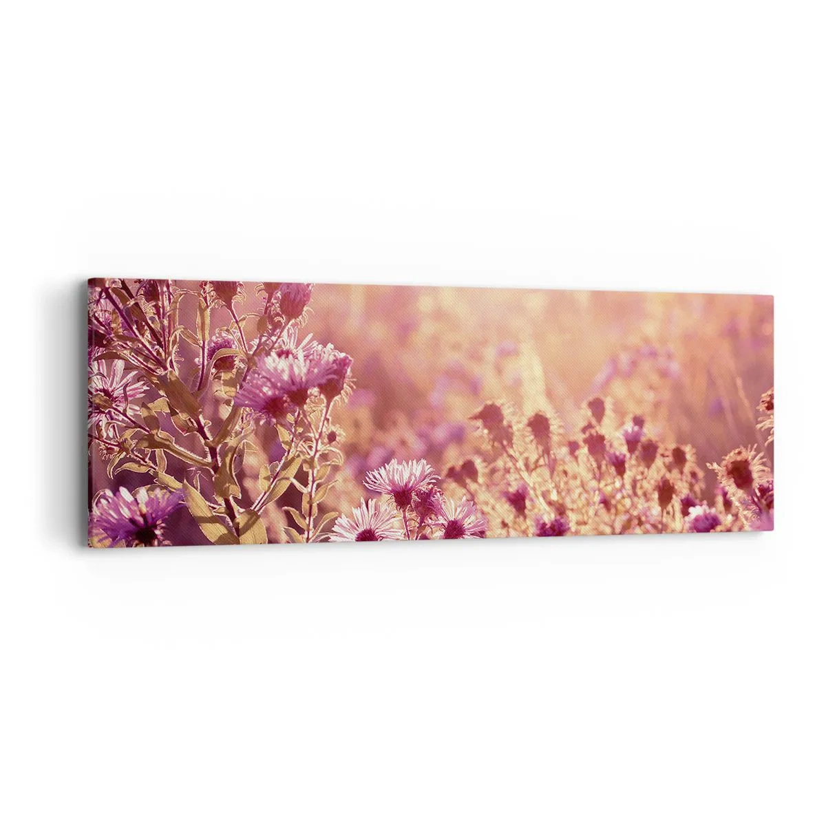 Bild auf Leinwand - Leinwandbild - Bevor der Sommer vorbei ist - 90x30 cm