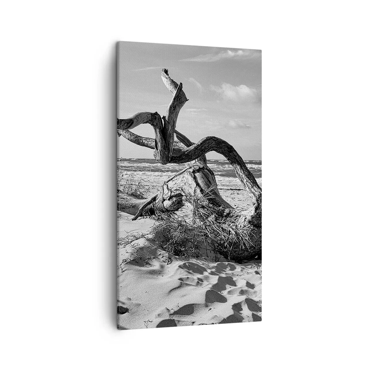 Bild auf Leinwand - Leinwandbild - Meeresskulptur - 45x80 cm