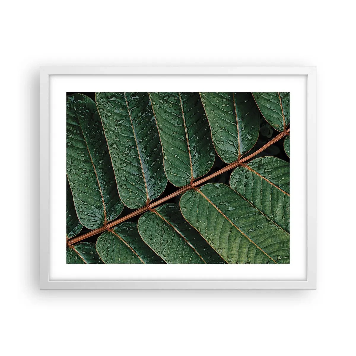 Poster in einem weißen Rahmen - Im grünen Rhythmus - 50x40 cm