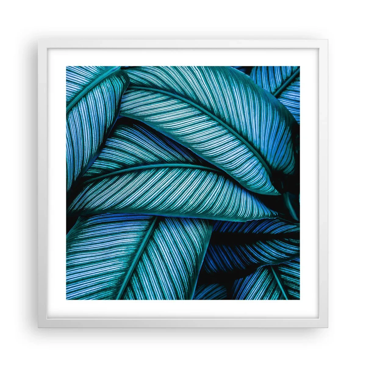 Poster in einem weißen Rahmen - Lebenslinien - 50x50 cm