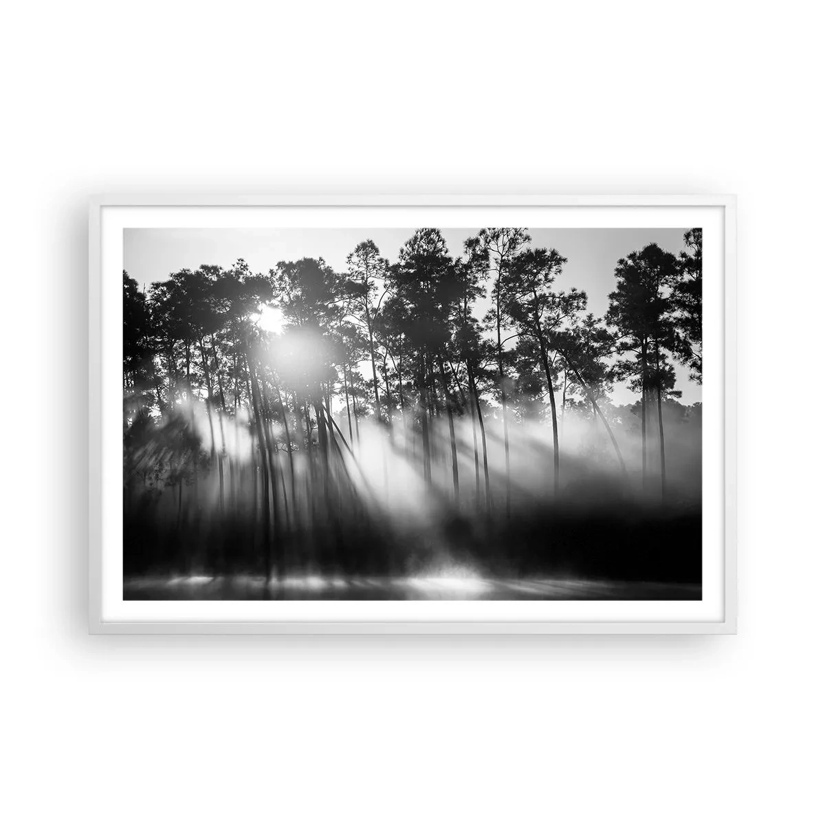 Poster in einem weißen Rahmen - Unaufhaltsame Sonne - 91x61 cm