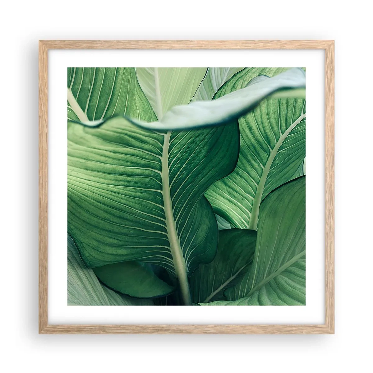 Poster in einem Rahmen aus heller Eiche - Intensiv grünes Leben - 50x50 cm