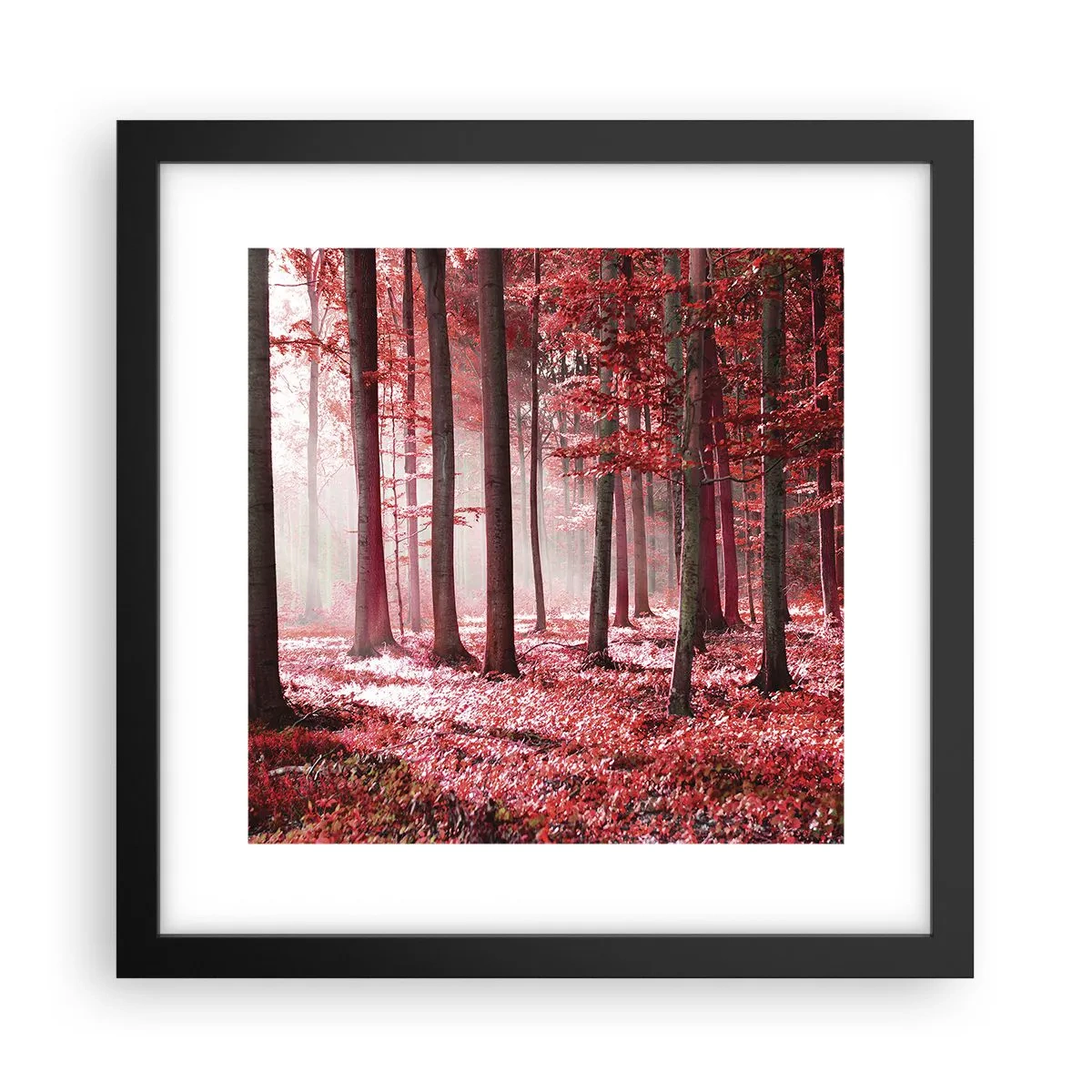 Poster in einem schwarzem Rahmen - Rot ist genauso schön - 30x30 cm