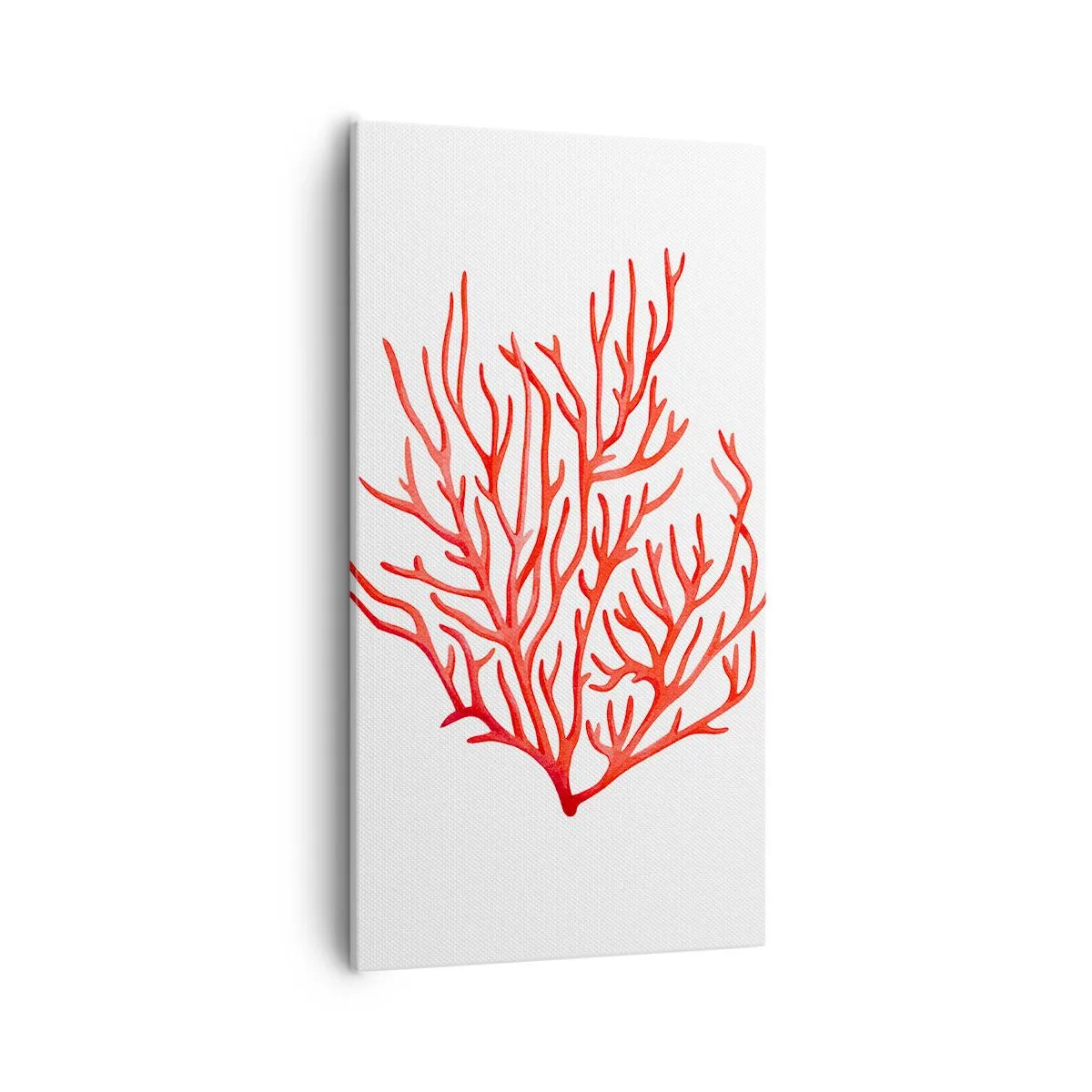 Bild auf Leinwand - Leinwandbild - Korallenfiligran - 55x100 cm