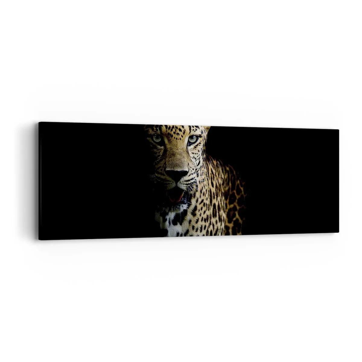 Bild auf Leinwand - Leinwandbild - Dunkle Schönheit - 90x30 cm