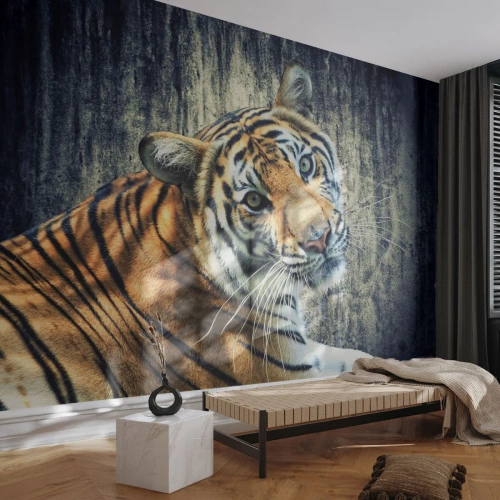 Maßgeschneiderte selbstklebende Fototapete Deluxe Sticker - Portrait in Lichtstrahlen - Tiere, Tiger, Afrika