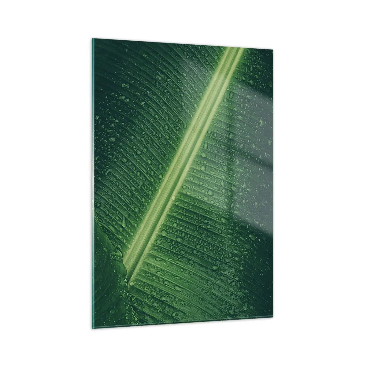 Glasbild - Bild auf glas - Nahaufnahme eines grünen Blattes mit Wassertropfen - 50x70cm - Die Struktur des Grüns - Moderne Wanddekoration für Wohnzimmer und Schlafzimmer ARTTOR